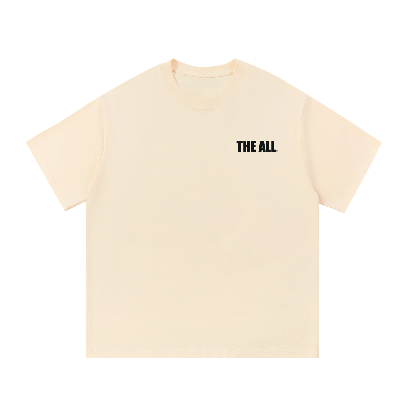 THE ALL Every Day Unisex Cotton T-Shirt