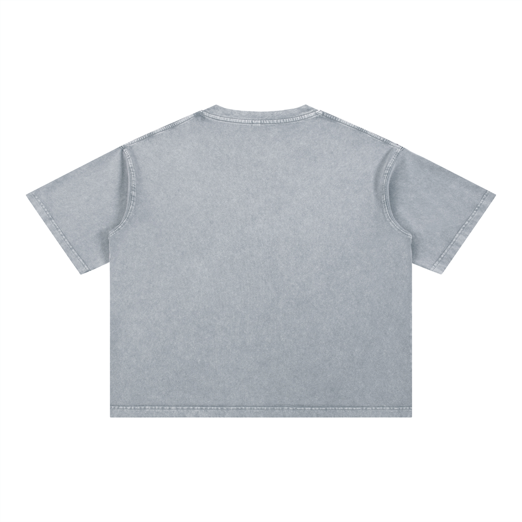 THE ALL Mineral Wash Boxy Cotton T-Shirt