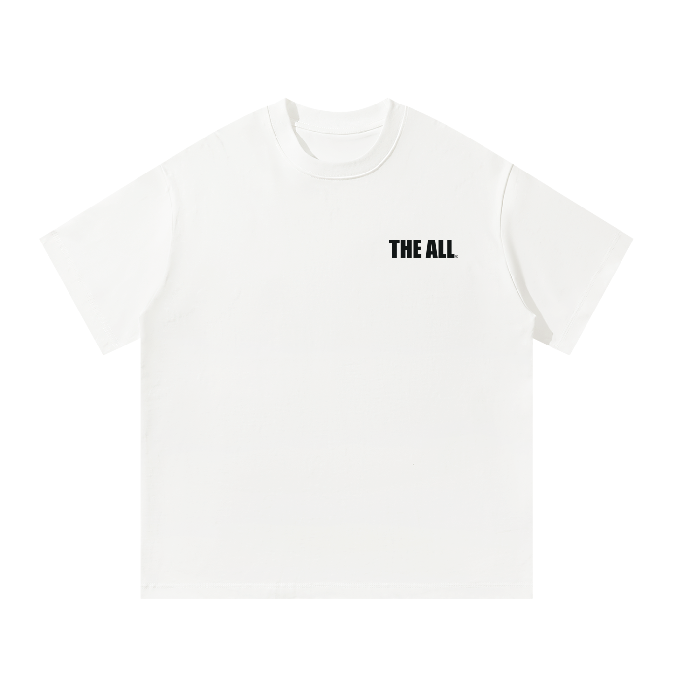 THE ALL Unisex Oversized T-Shirt