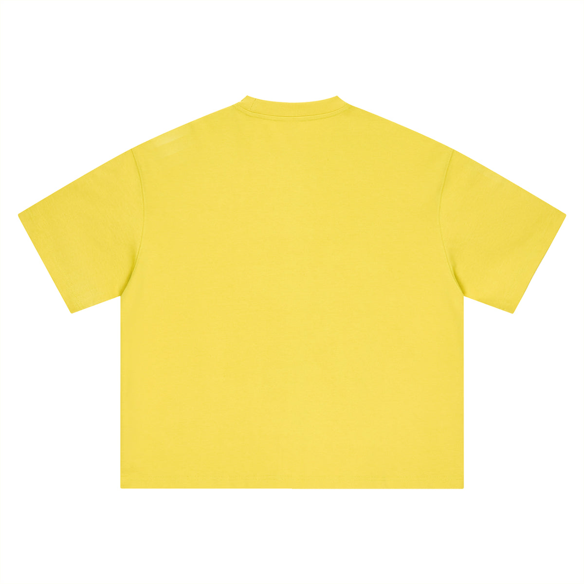 THE ALL Unisex Boxy Oversized T-Shirt