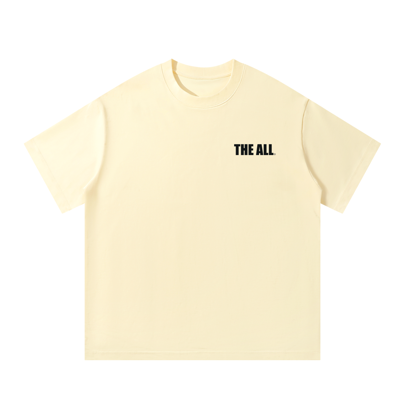 THE ALL Unisex Oversized T-Shirt
