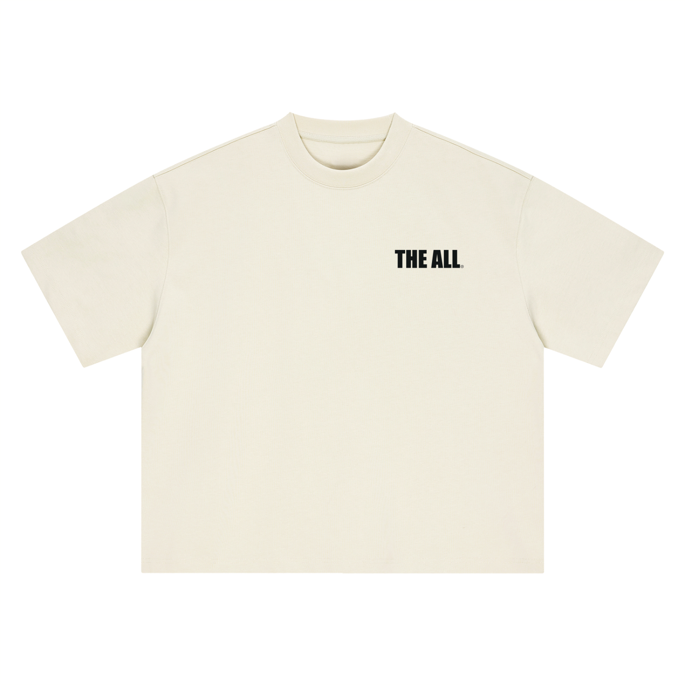 THE ALL Boxy Oversized T-Shirt