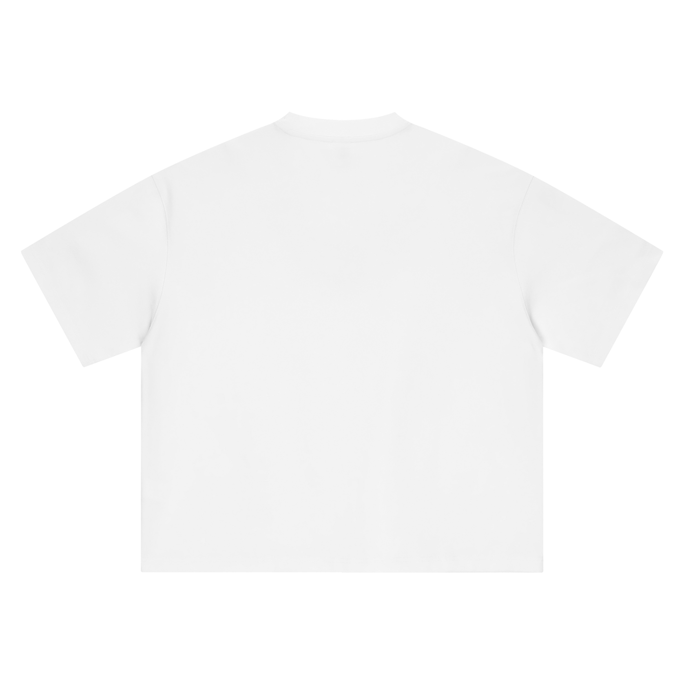 THE ALL Boxy Oversized T-Shirt