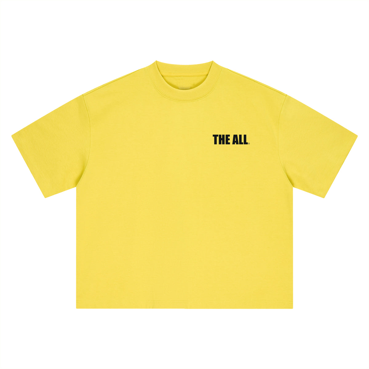 THE ALL Unisex Boxy Oversized T-Shirt