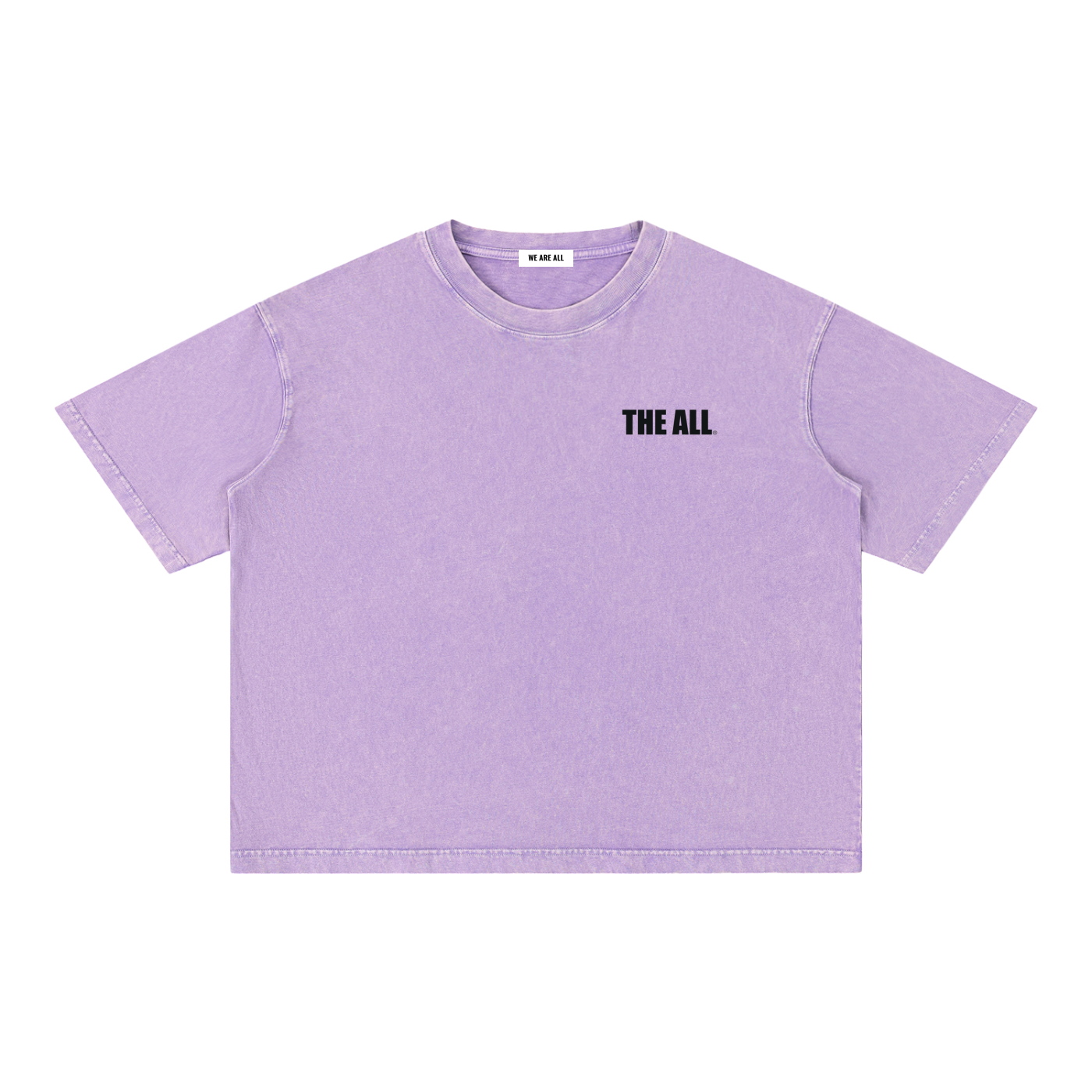 THE ALL Mineral Wash Boxy Cotton T-Shirt