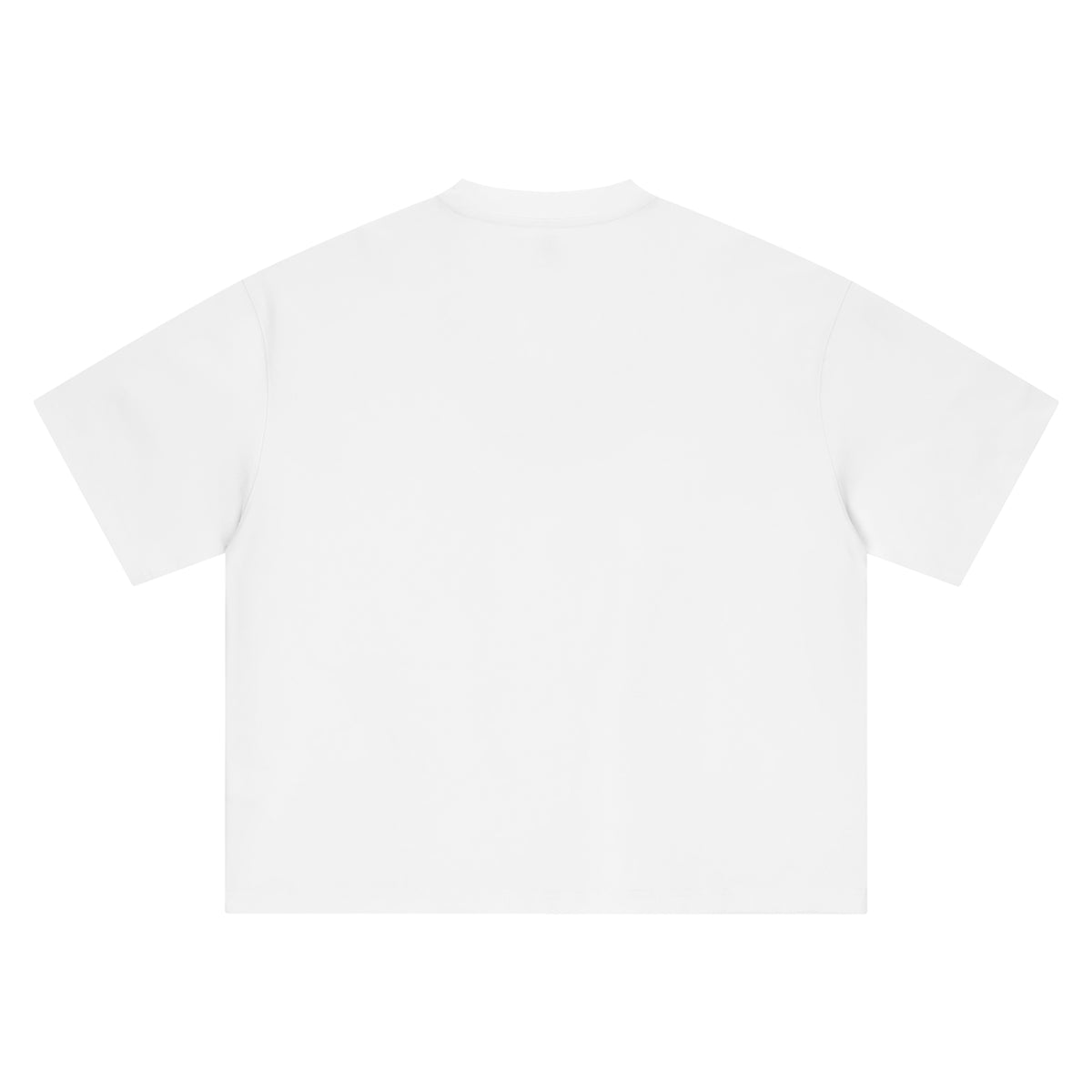 THE ALL Unisex Boxy Oversized T-Shirt
