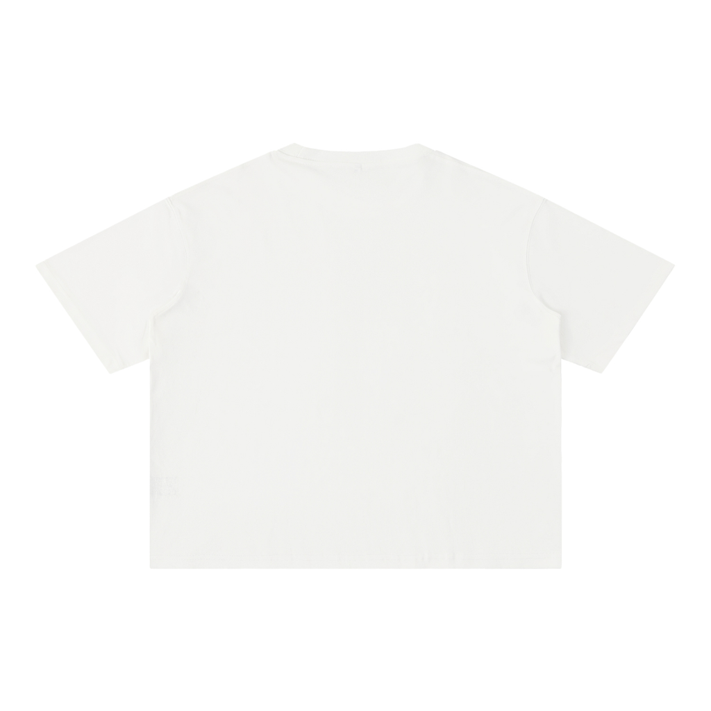 THE ALL Mineral Wash Boxy Cotton T-Shirt