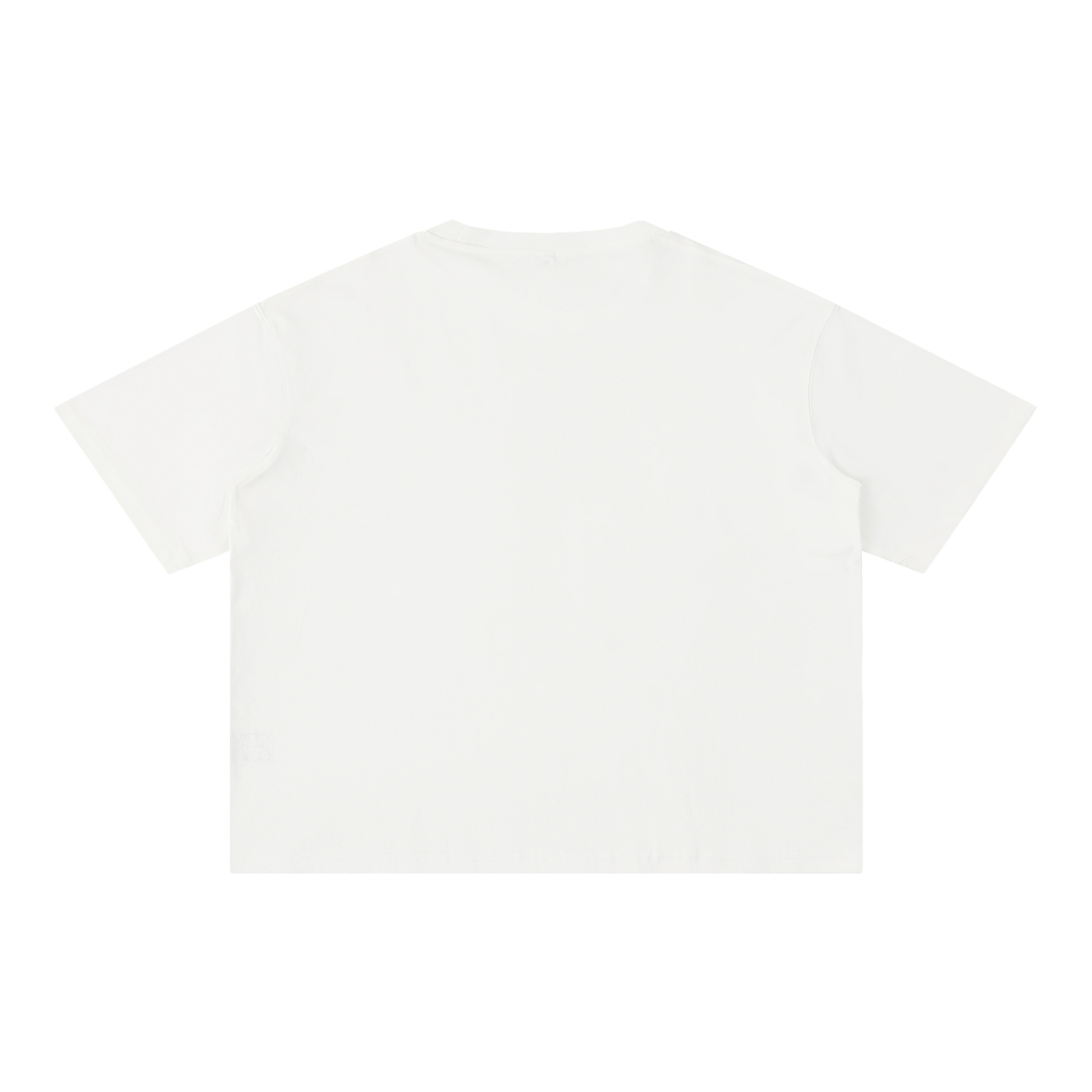 THE ALL Mineral Wash Boxy Cotton T-Shirt