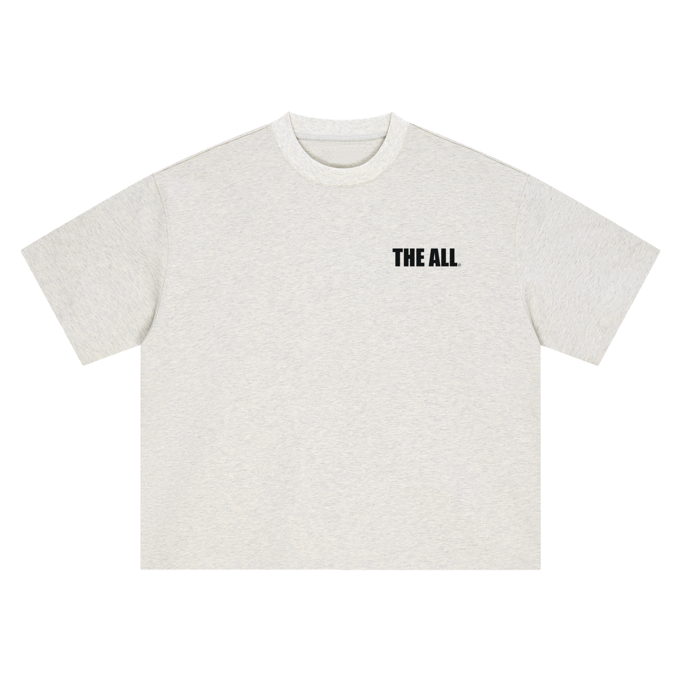 THE ALL Boxy Oversized T-Shirt