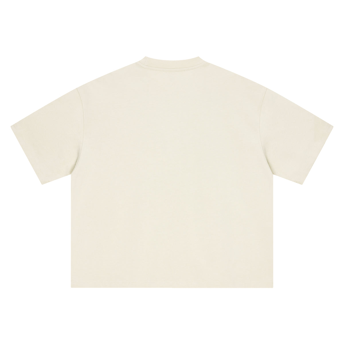 THE ALL Unisex Boxy Oversized T-Shirt