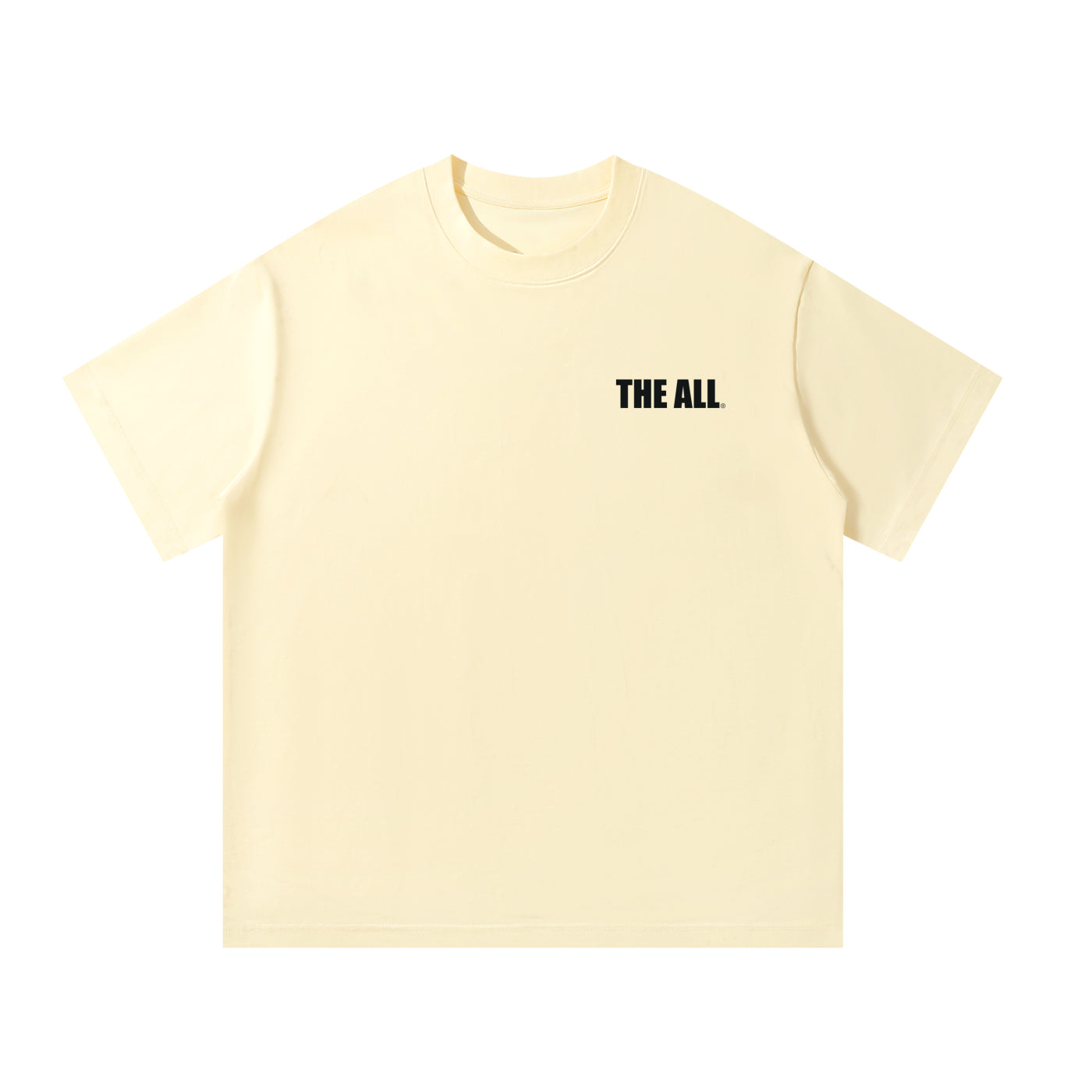 THE ALL Unisex Oversized T-Shirt