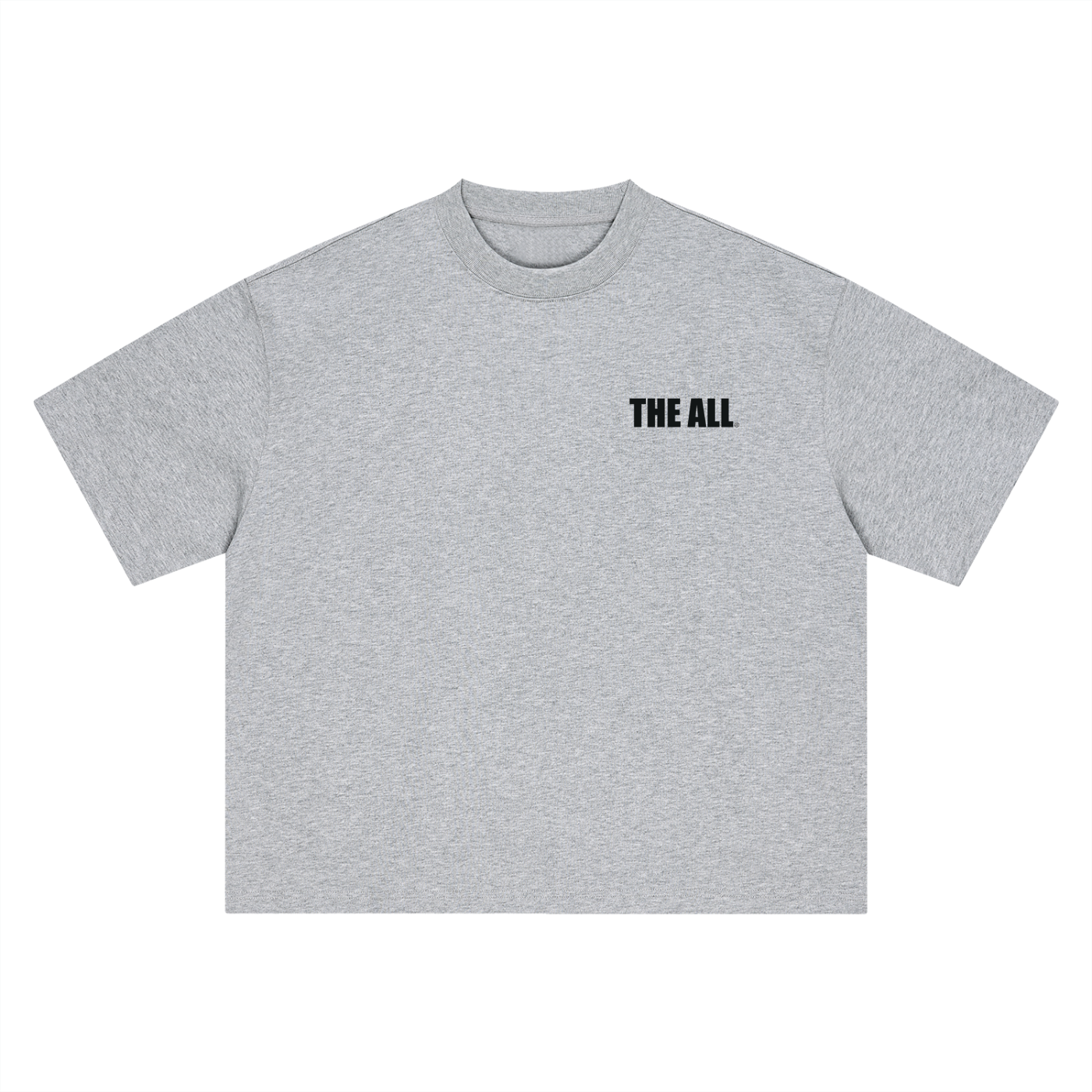 THE ALL Boxy Oversized T-Shirt