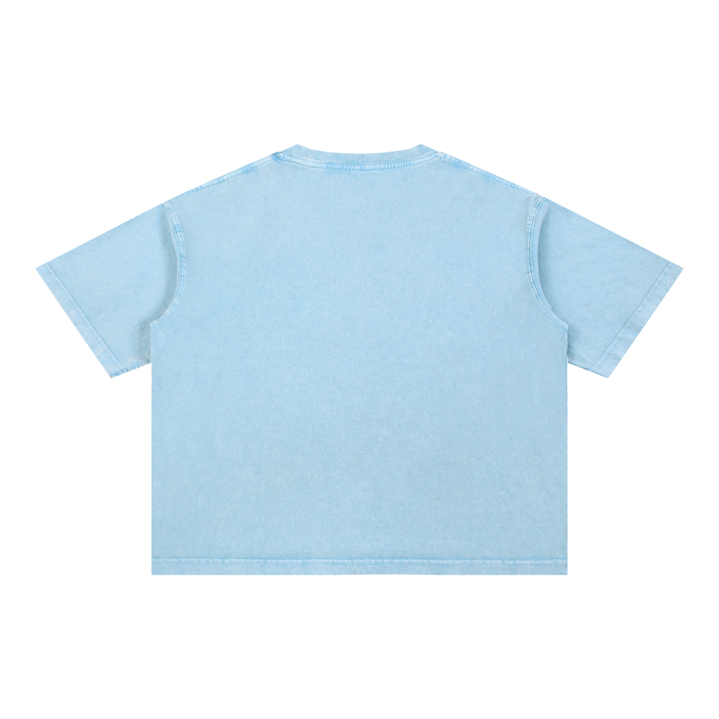 THE ALL Mineral Wash Boxy Cotton T-Shirt