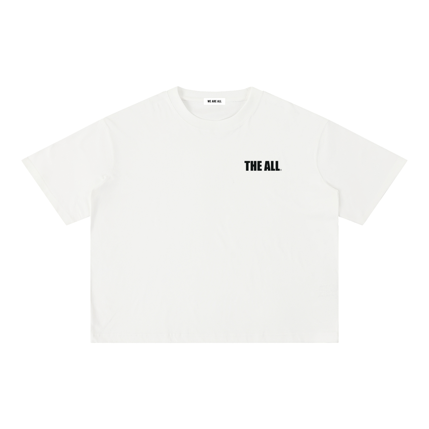 THE ALL Mineral Wash Boxy Cotton T-Shirt