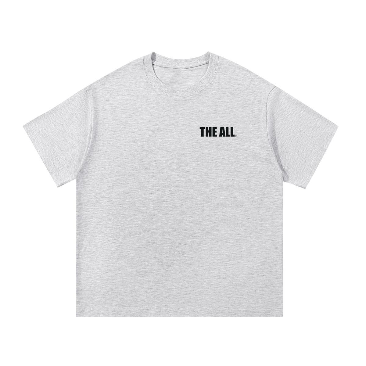 THE ALL Everyday Unisex T-Shirt - (print- THE ALL front and THEALL.world back)