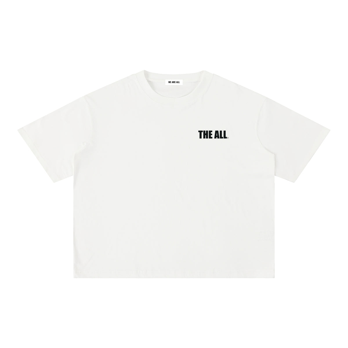 THE ALL Unisex  Mineral Wash Boxy Cotton T-Shirt