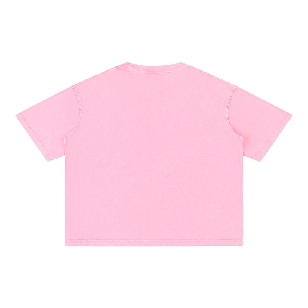 THE ALL Mineral Wash Boxy Cotton T-Shirt