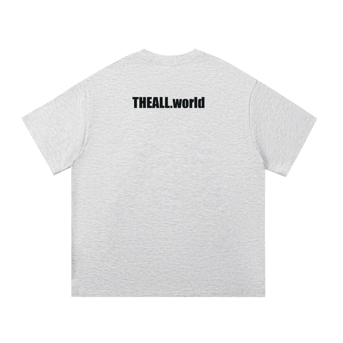 THE ALL Everyday Unisex T-Shirt - (print- THE ALL front and THEALL.world back)