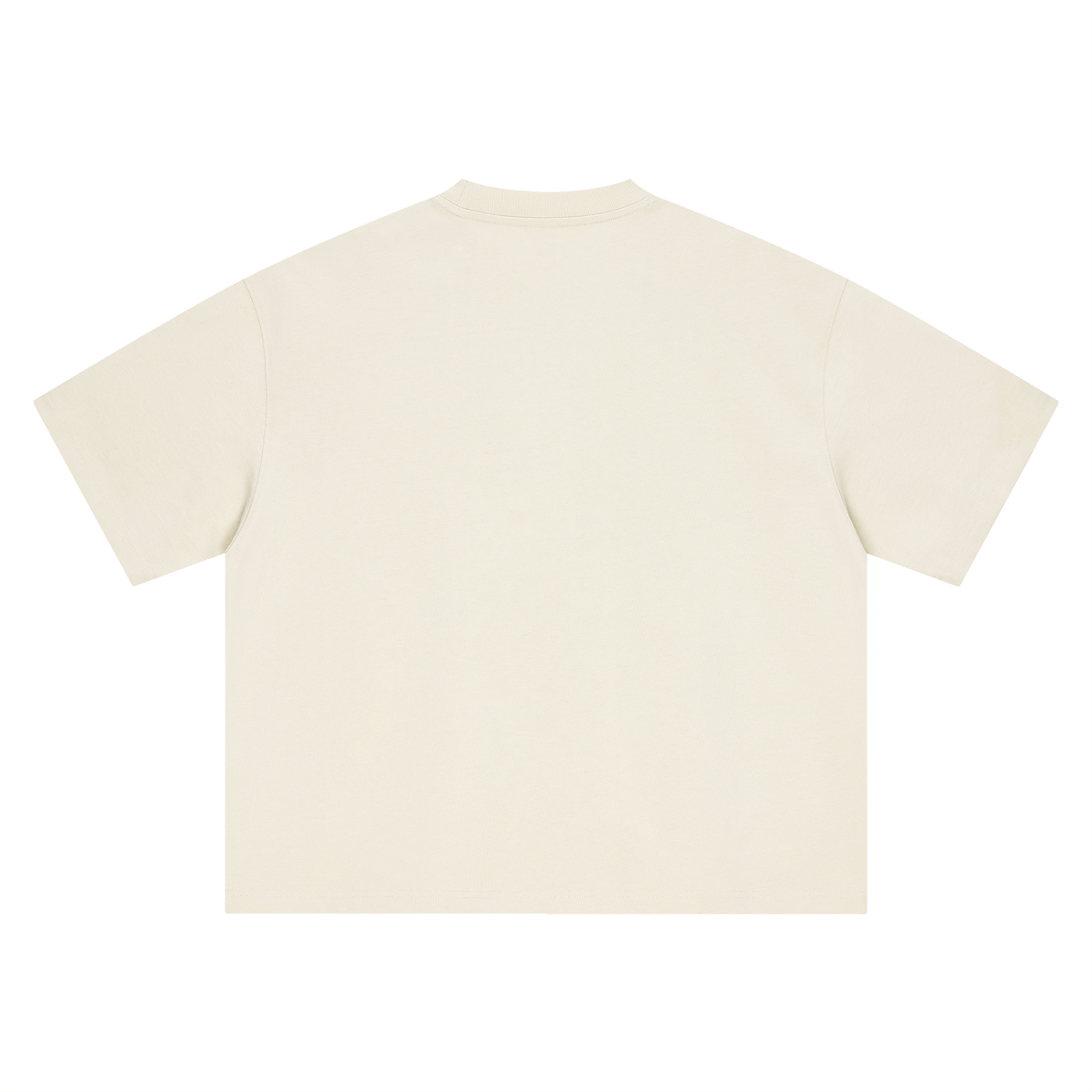 THE ALL Boxy Oversized T-Shirt