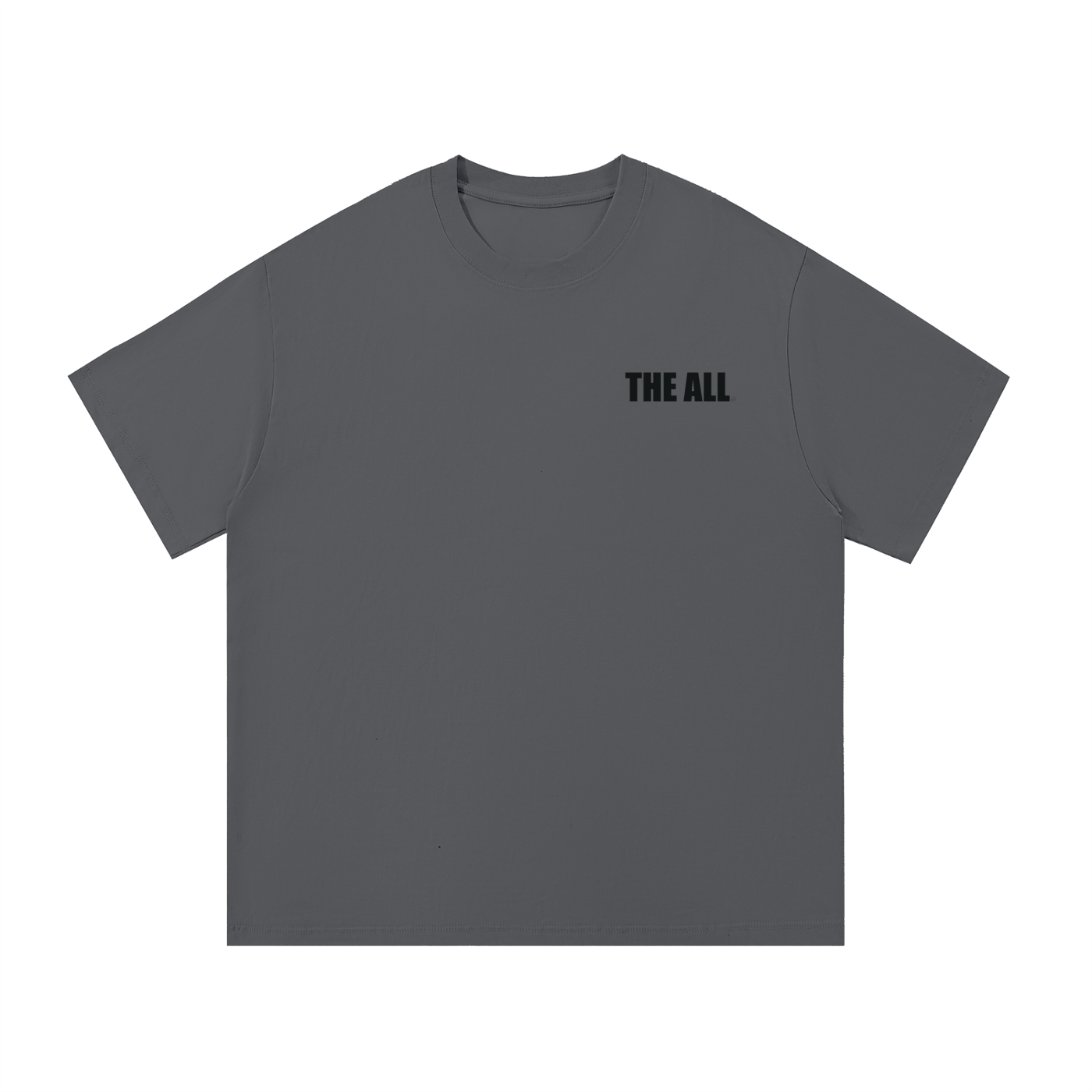 THE ALL Every Day Unisex Cotton T-Shirt
