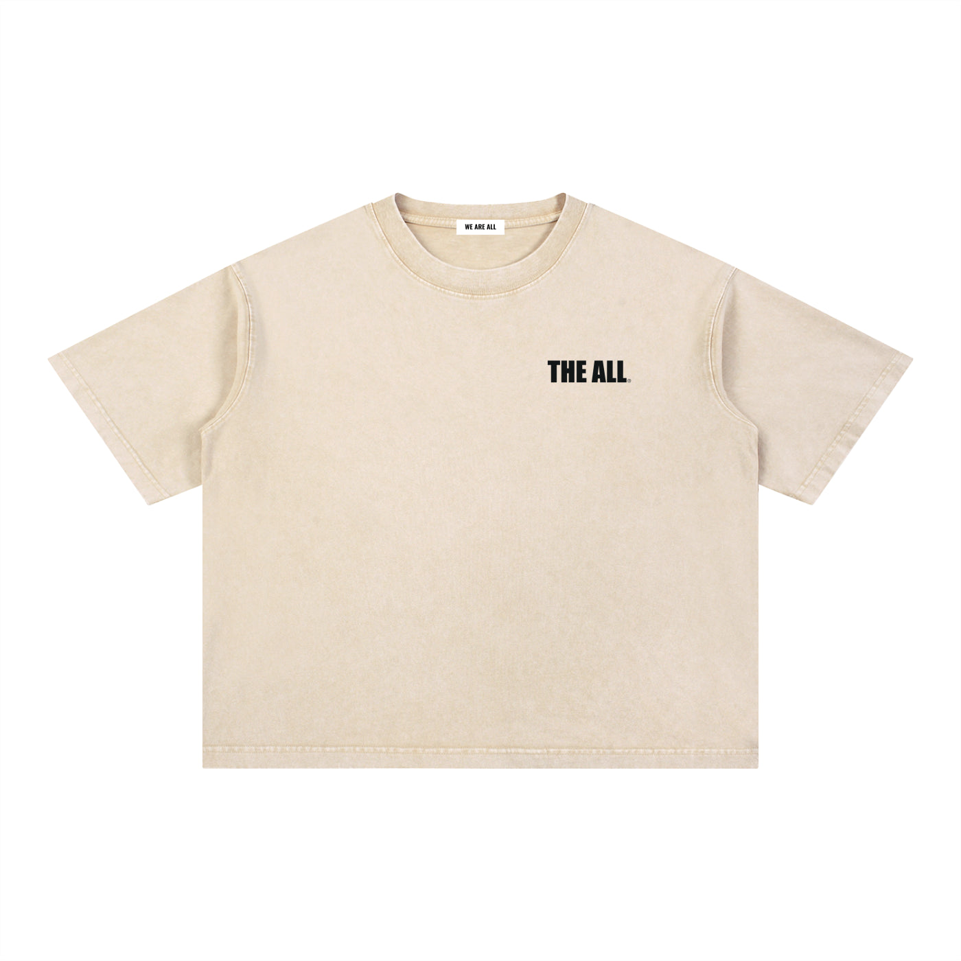 THE ALL Unisex  Mineral Wash Boxy Cotton T-Shirt