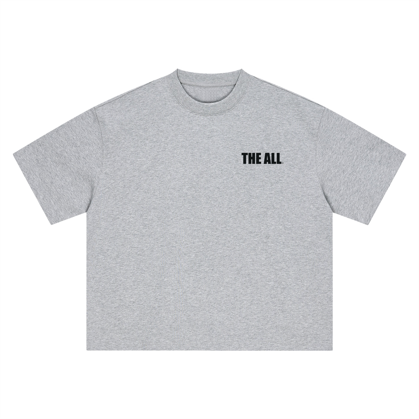 THE ALL Unisex Boxy Oversized T-Shirt
