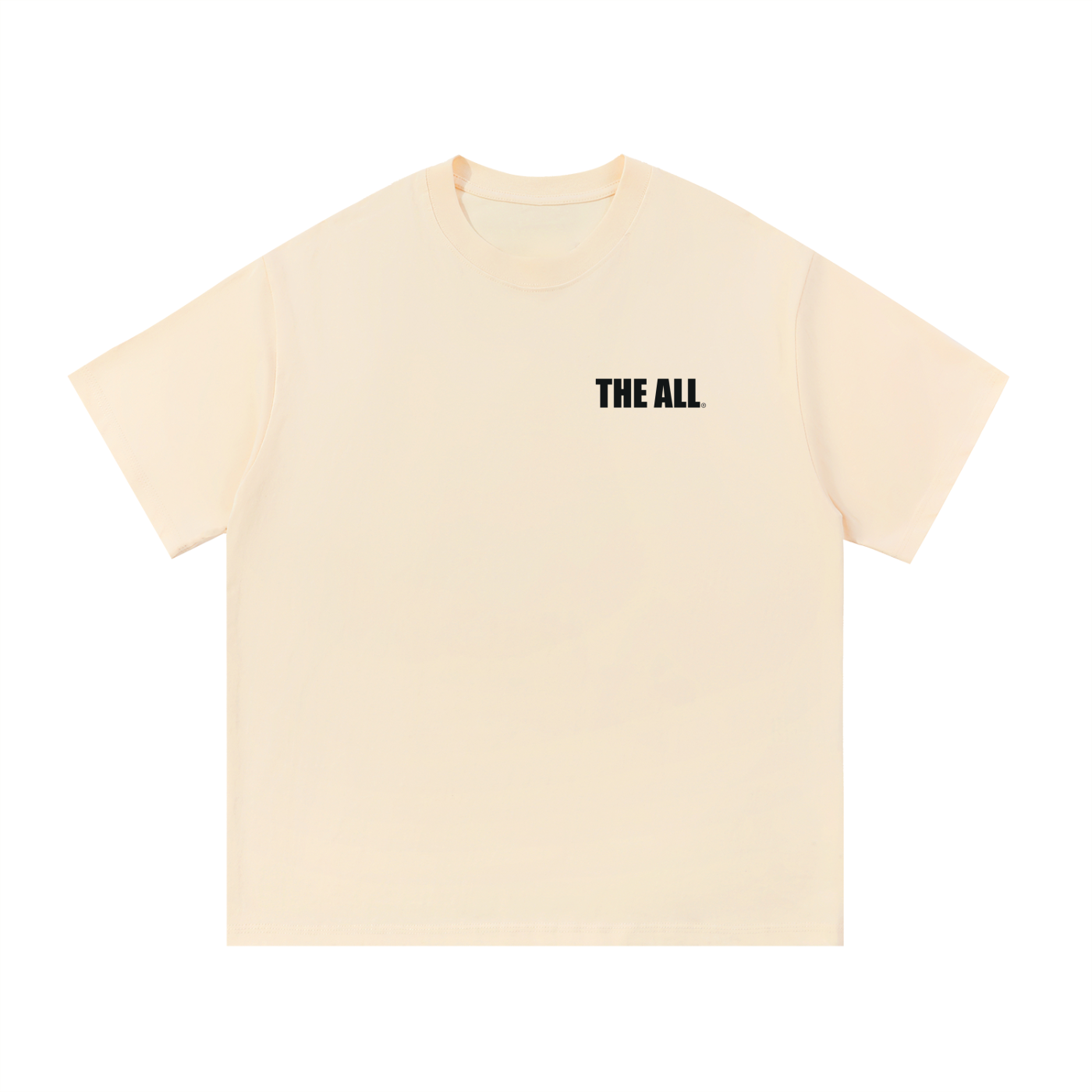 THE ALL Everyday Unisex T-Shirt - (print- THE ALL front and THEALL.world back)