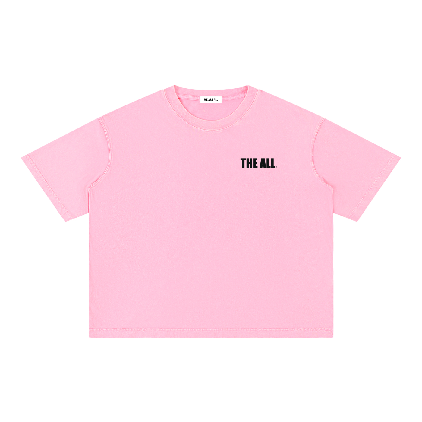 THE ALL Mineral Wash Boxy Cotton T-Shirt