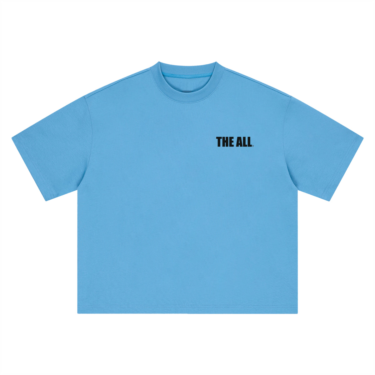 THE ALL Unisex Boxy Oversized T-Shirt