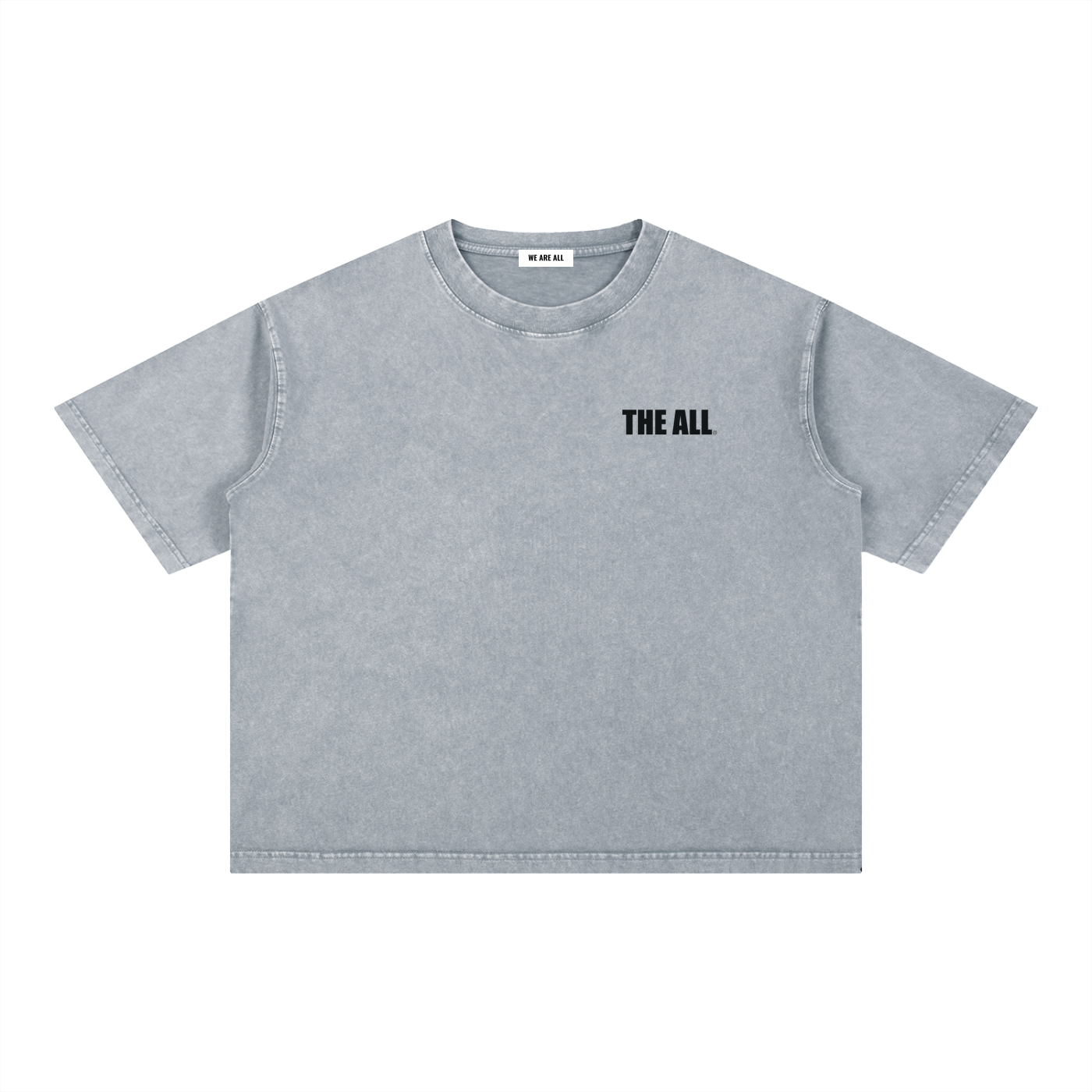 THE ALL Mineral Wash Boxy Cotton T-Shirt