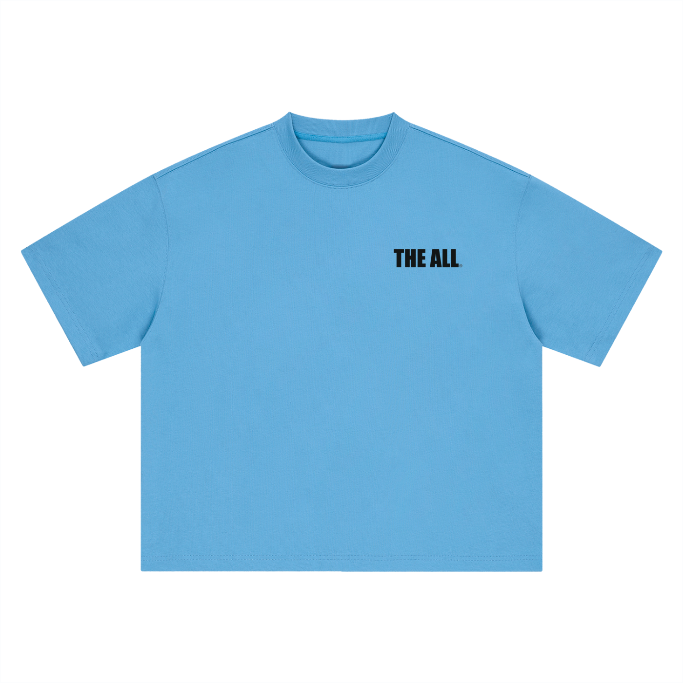 THE ALL Boxy Oversized T-Shirt