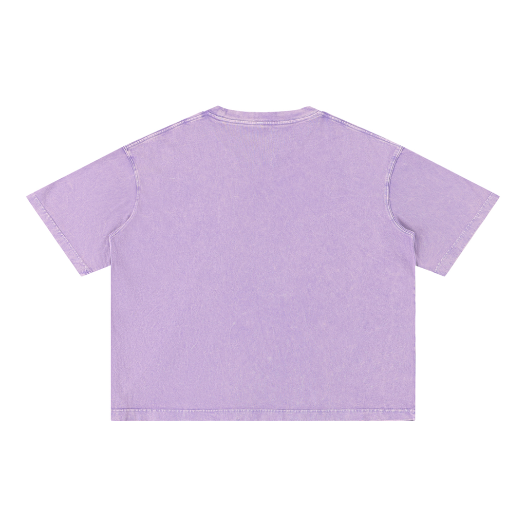 THE ALL Mineral Wash Boxy Cotton T-Shirt