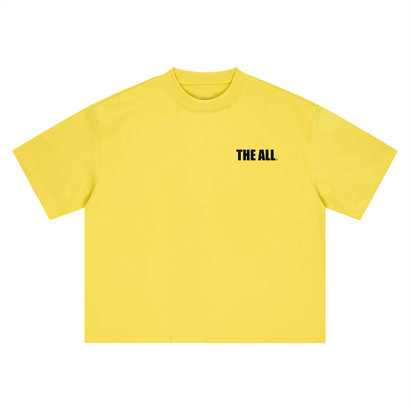 THE ALL Boxy Oversized T-Shirt