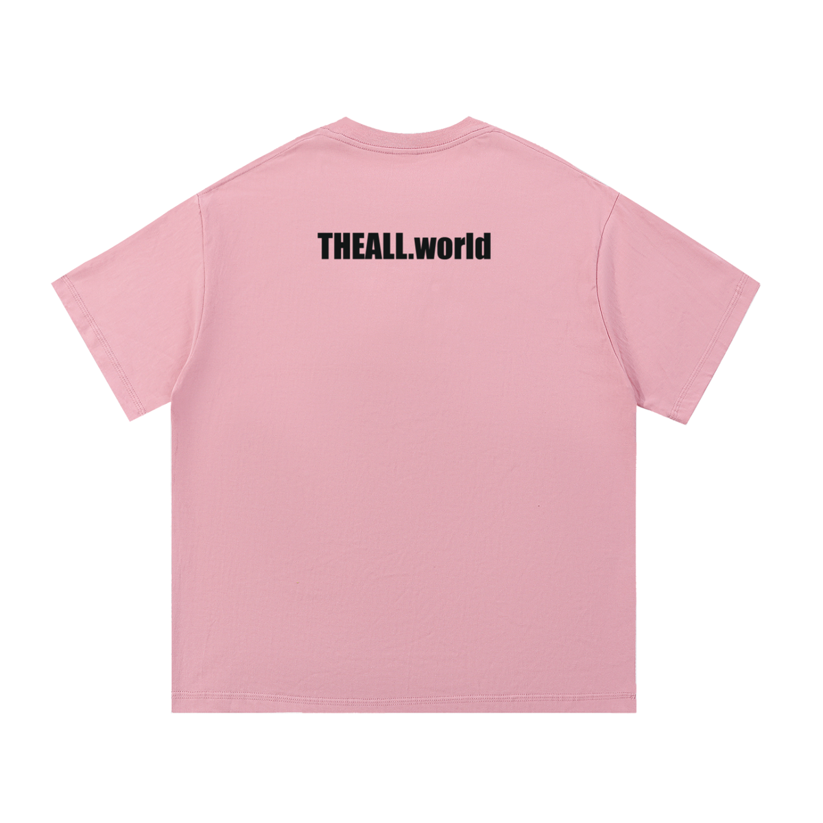 THE ALL Everyday Unisex T-Shirt - (print- THE ALL front and THEALL.world back)